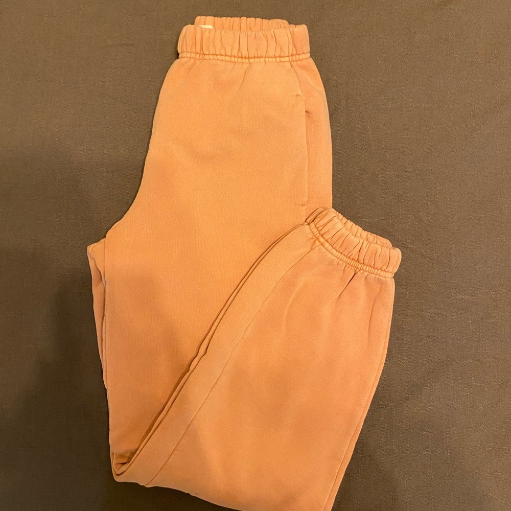 Aritzia joggers
